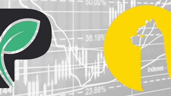 The Alpaca and Passiv logos.